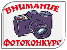 Чем заняться на карантине? Комитет по развитию туризма Волгоградской области предлагает принять участие в фотоконкурсе 